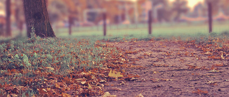 ddos攻击ip软件下载